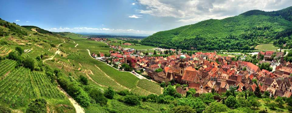 Alsace and its vineyards